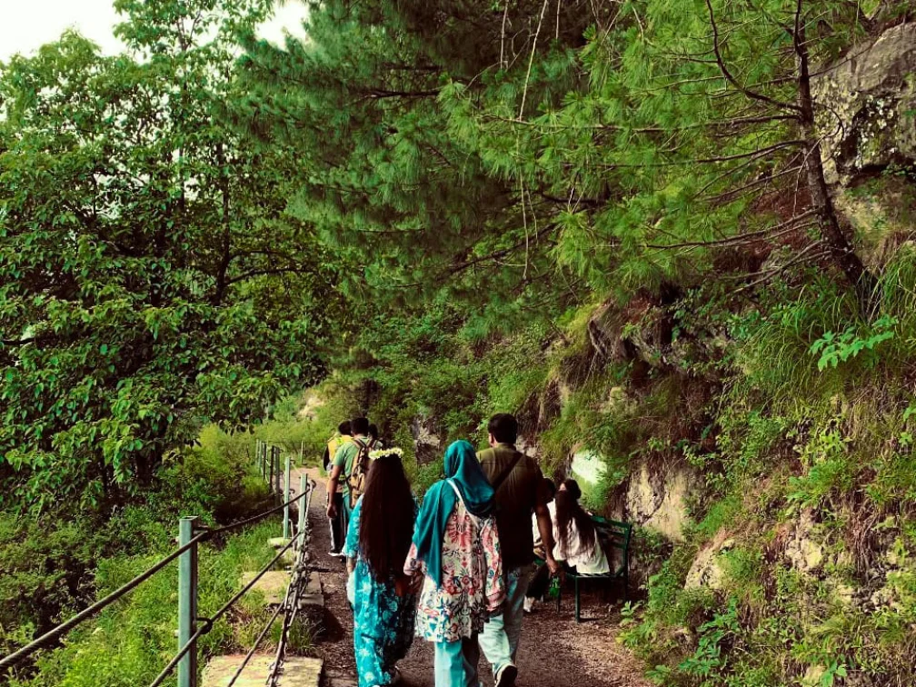 muree5